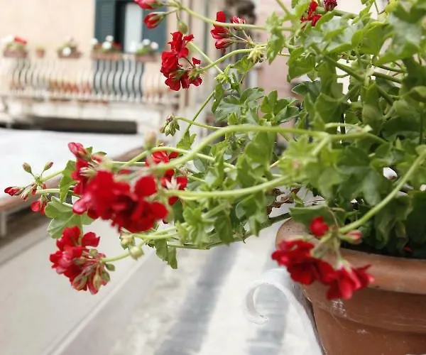 I Soffitti Dimora Esclusiva 4*